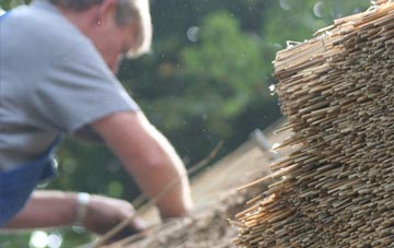 professional Gibralter thatchers